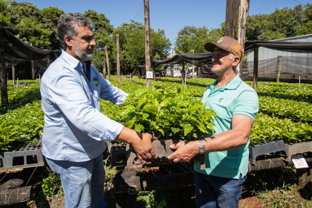 26-01-2026_mudas_de_cafe-3