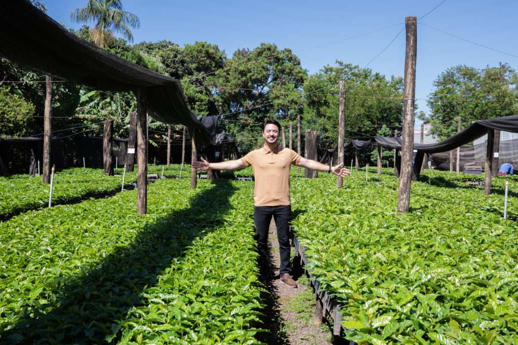 26-01-2026_mudas_de_cafe-34