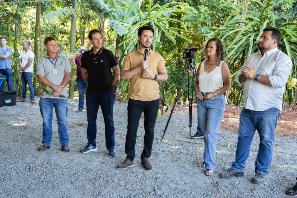 26-01-2026_mudas_de_cafe-41