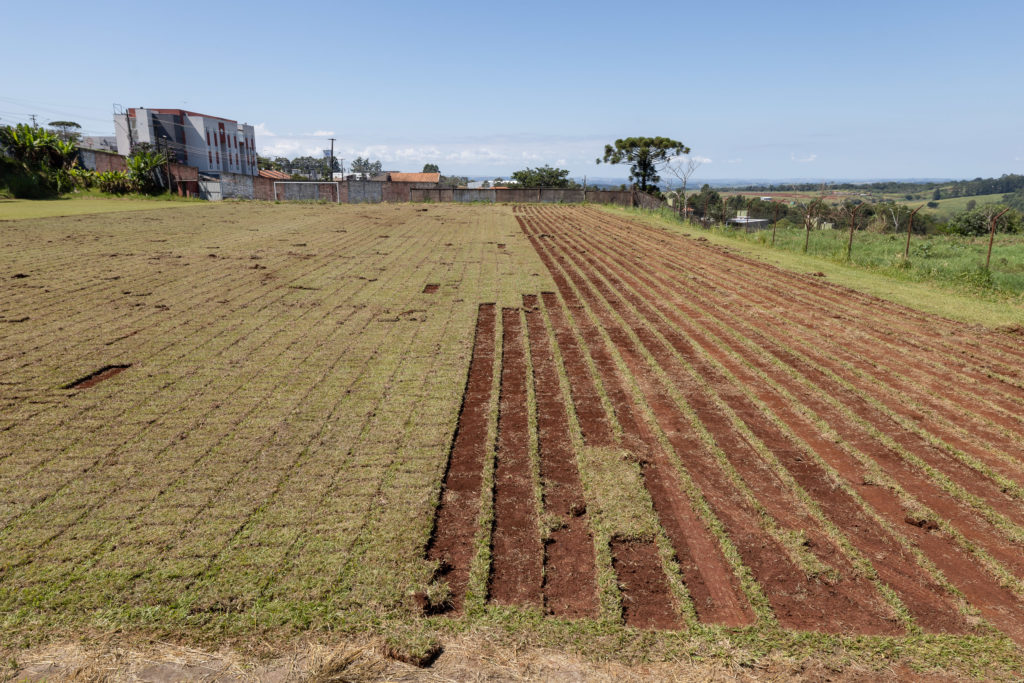 2026-02-27_grama_campo_vila-reis001