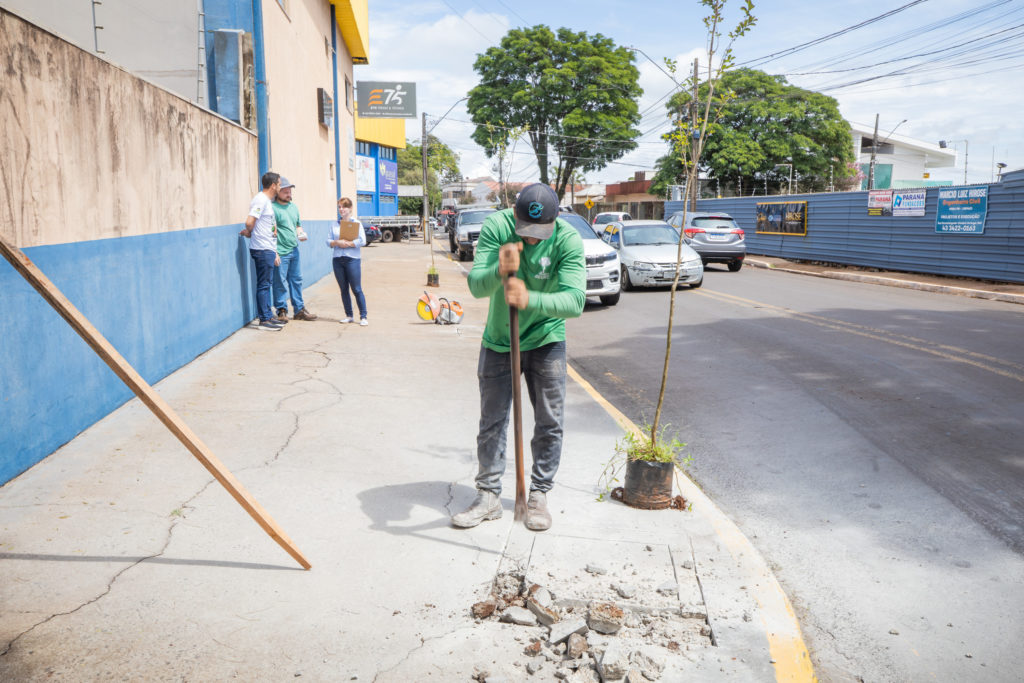 Plantio_de_arvores-50