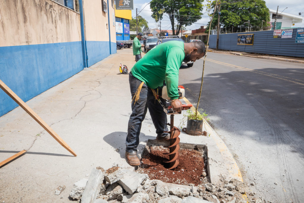 Plantio_de_arvores-52