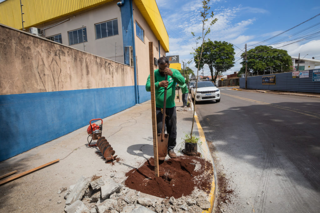 Plantio_de_arvores-59