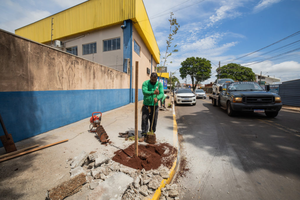 Plantio_de_arvores-64