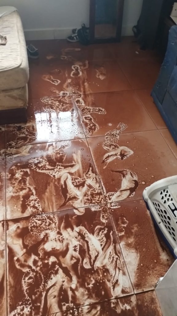 WhatsApp Image 2026-04-02 at 13.45.13 (1)