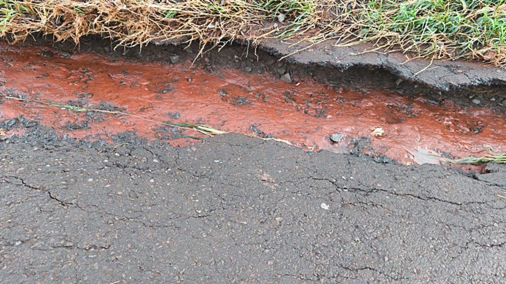 WhatsApp Image 2026-04-02 at 13.45.17 (1)