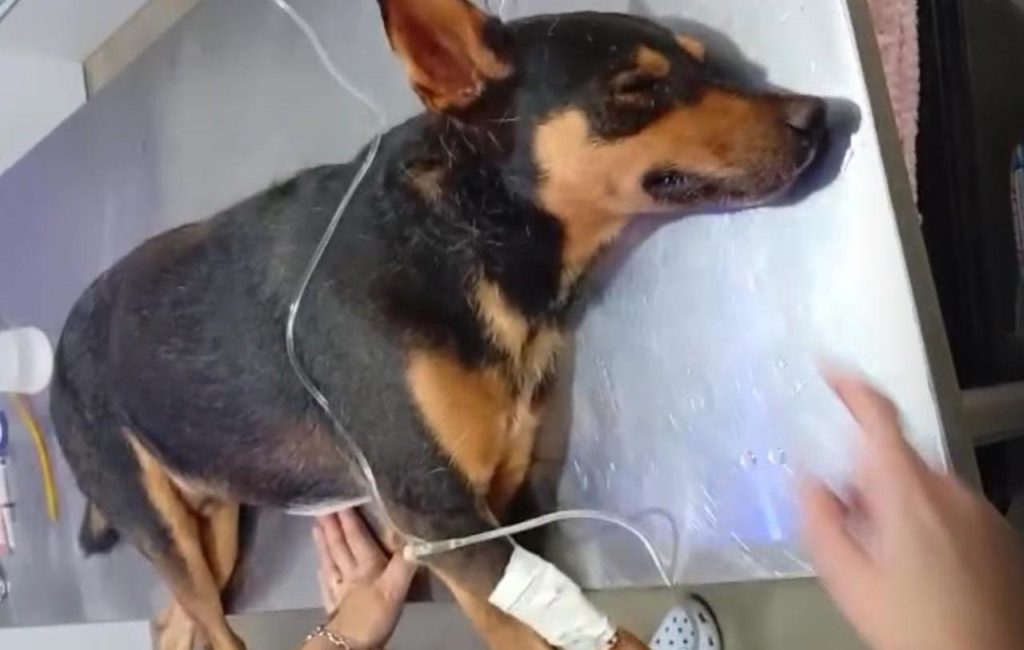 WhatsApp Image 2026-04-13 at 12.21.45