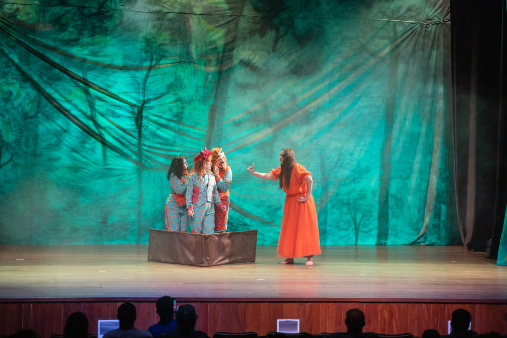 2026-06-01_teatro_junho_verde_fenix_024