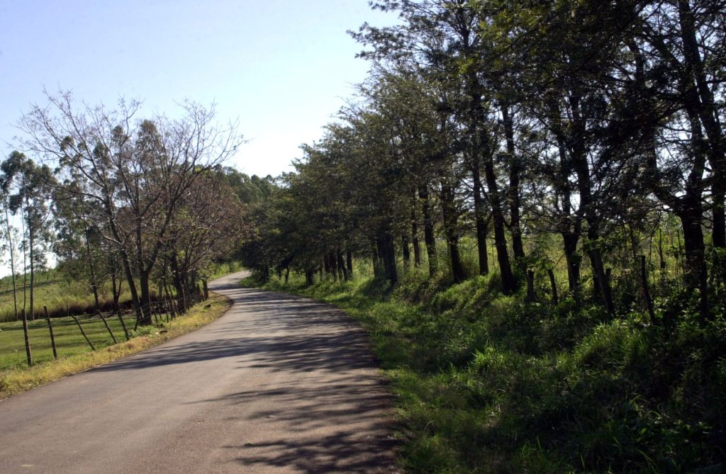 sao domingos8