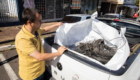 19-08-2026_copel_fiacao01-3