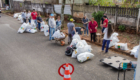2026-08-04_feira_verde_006