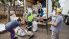 2026-08-04_feira_verde_012
