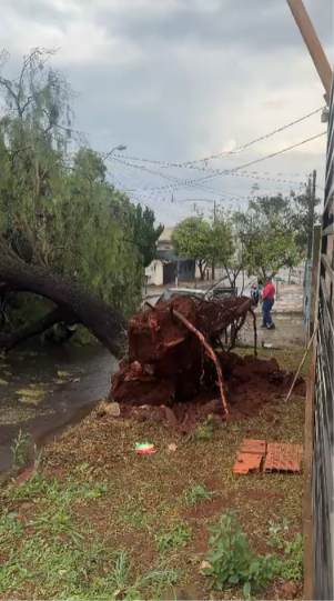 Captura de tela 2026-08-30 085818