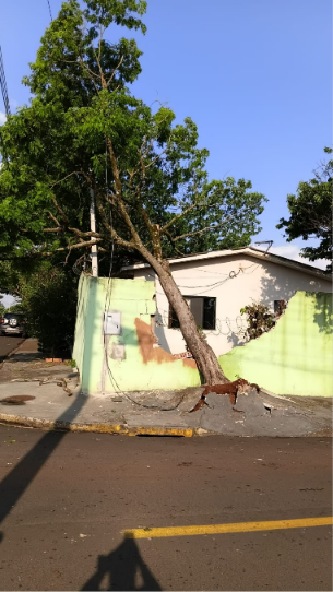 Captura de tela 2026-08-30 085959