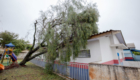 23-09-2026_temporal_cmei_vilareis004