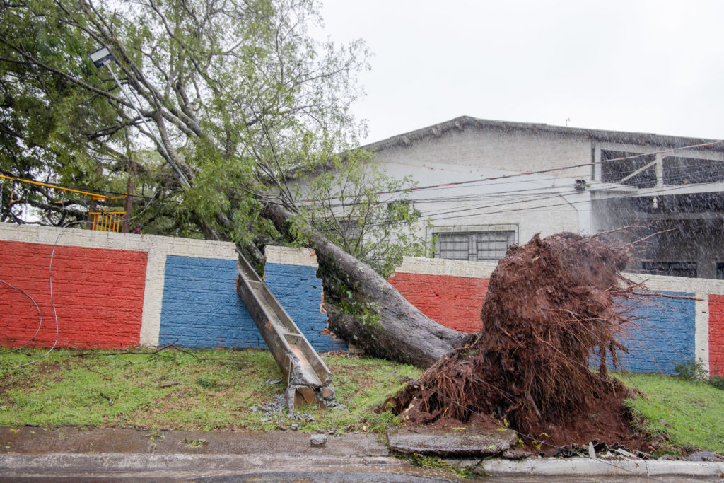 23-09-2026_temporal_vila_reis016