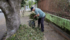 24-09-2026_limpza-calcada (22)