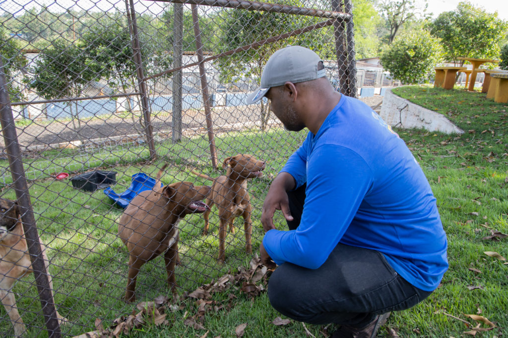 07-10-2026_cemsa_pitbull_abandonado (2)