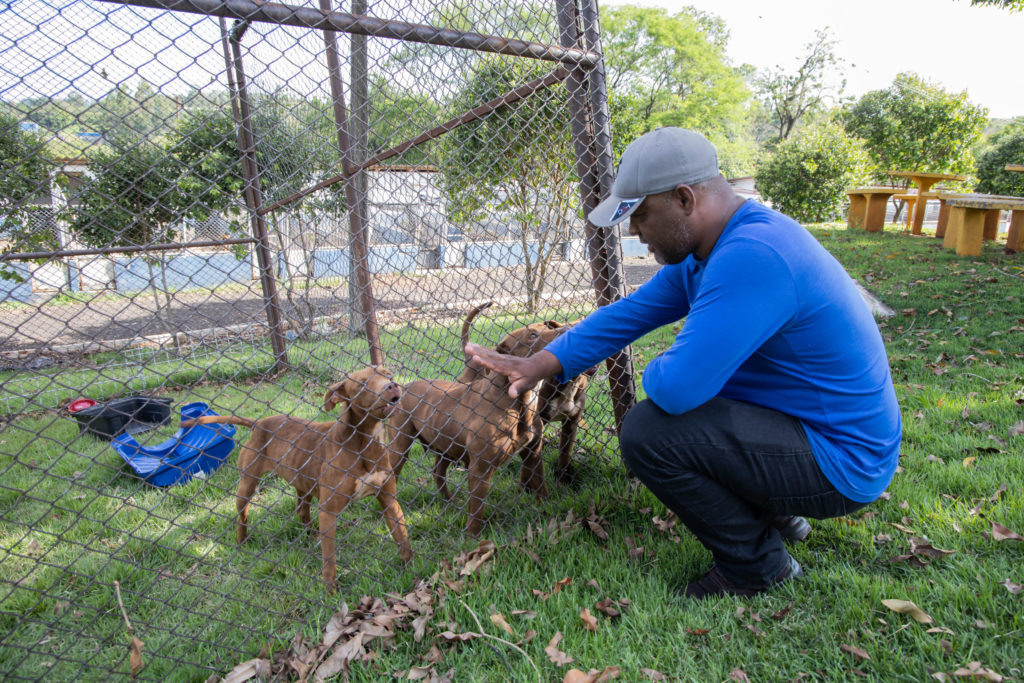 07-10-2026_cemsa_pitbull_abandonado (7)