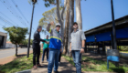 20-10-2026_corte_eucalipto-espaco-das_feira01-10