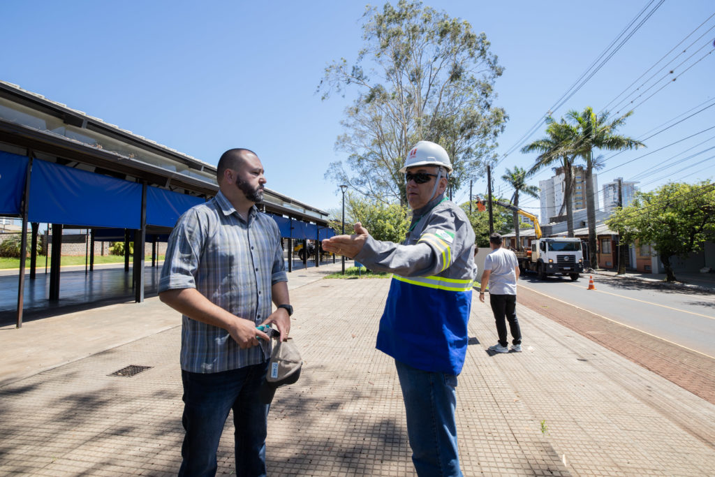 20-10-2026_corte_eucalipto-espaco-das_feira01-2
