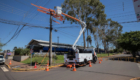 20-10-2026_corte_eucalipto-espaco-das_feira01-33