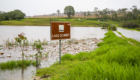 2026-10-14_represa_schimith_transbordando_cheia_002