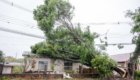 23-09-2026_temporal_vila_reis018