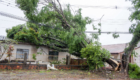 23-09-2026_temporal_vila_reis019