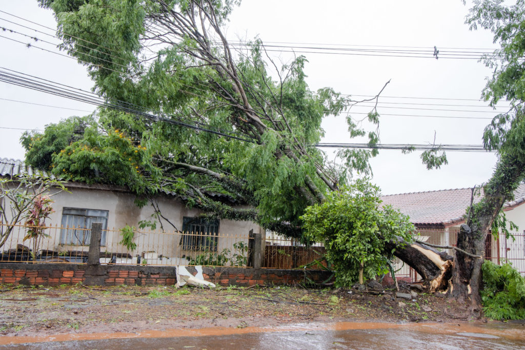 23-09-2026_temporal_vila_reis019