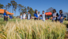 Abertura_Expoagri-60
