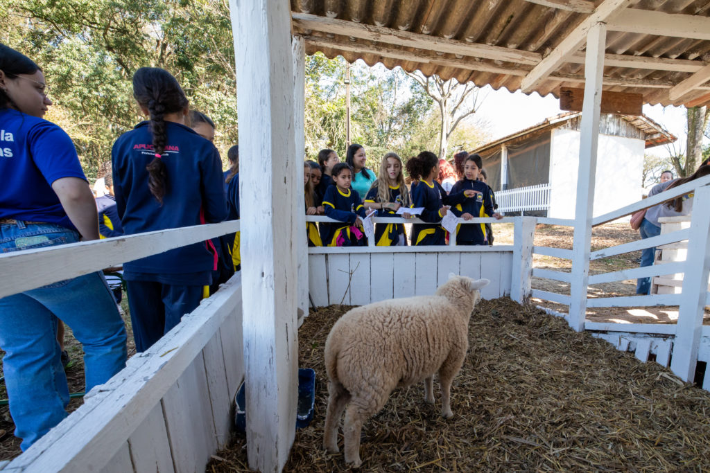 Abertura_Expoagri-69