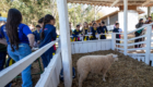 Abertura_Expoagri-70