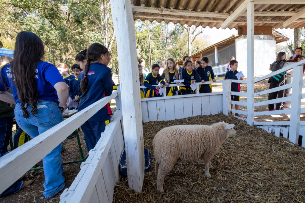 Abertura_Expoagri-70