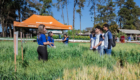 Abertura_Expoagri-8