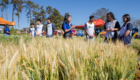 Abertura Expoagri-61