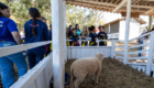 Abertura Expoagri-69