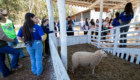 Abertura Expoagri-73
