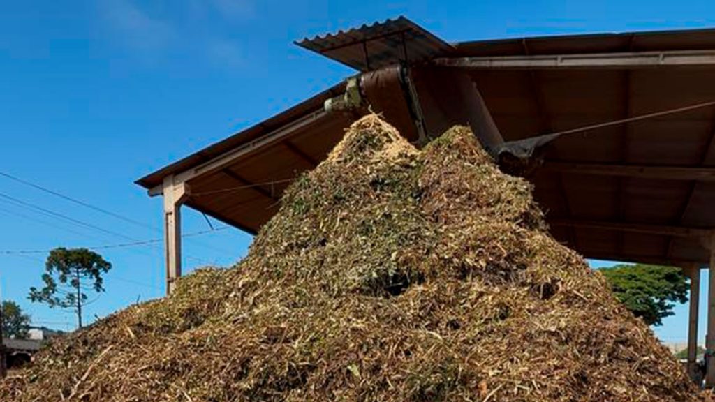 WhatsApp Image 2026-03-04 at 17.29.21