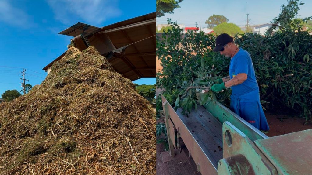 WhatsApp Image 2026-03-04 at 17.29.21 (2)