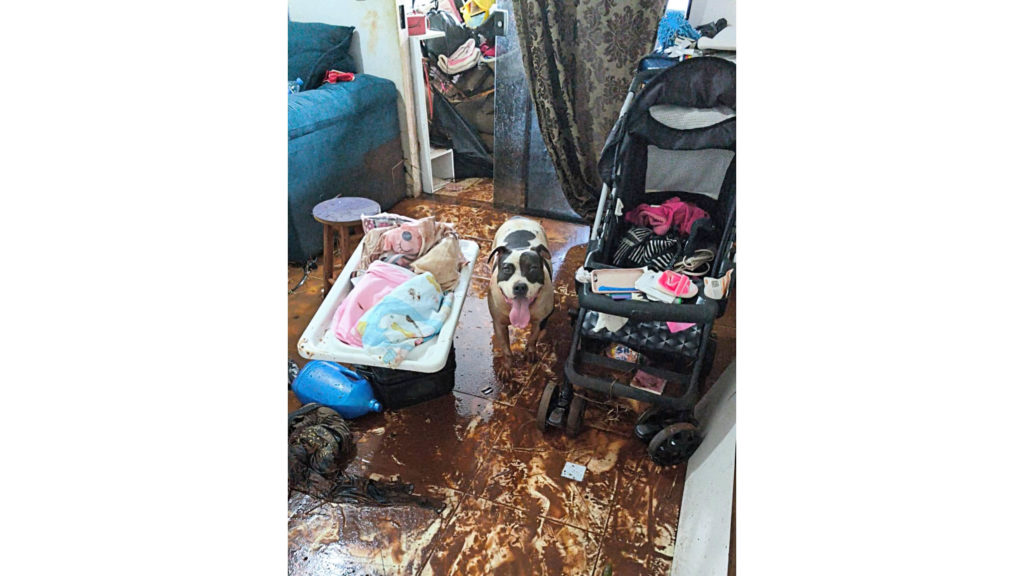 estrados_chuvas_ (23)