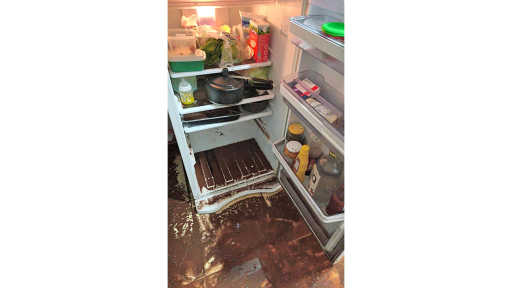 estrados_chuvas_ (9)