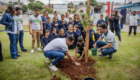 2026-06-09_plantio_arvore_escola_placido_castro_009